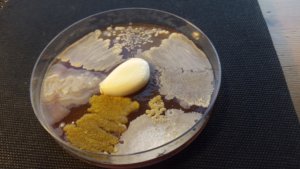 December 2017 - Workshop: antibiotic properties of garlic